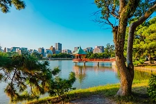 大濠公園散步攻略：交通、景點地圖、散步路線與湖畔咖啡