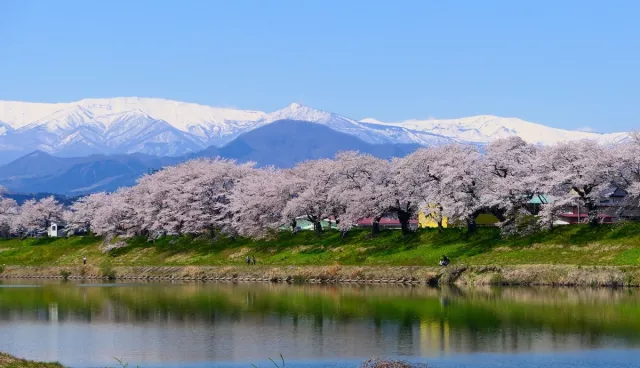 宮城縣自由行攻略：推薦景點、仙台、松島、藏王必去行程一次看懂！