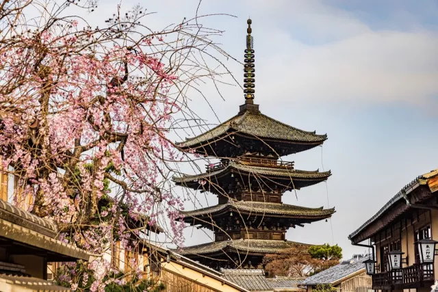 京都櫻花景點35選：三月賞櫻推清水寺、蹴上傾斜鐵道、哲學之道、背割堤