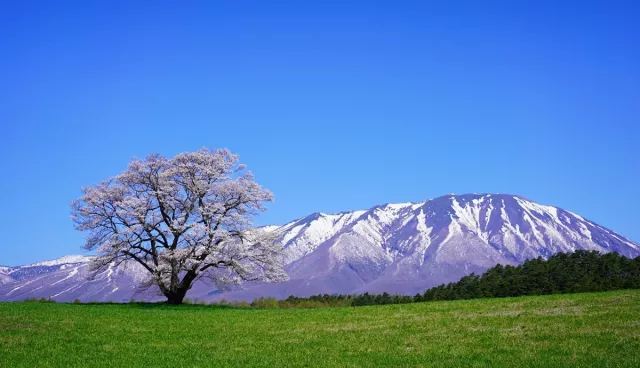 岩手縣自由行・景點攻略：盛岡、平泉、中尊寺一次掌握