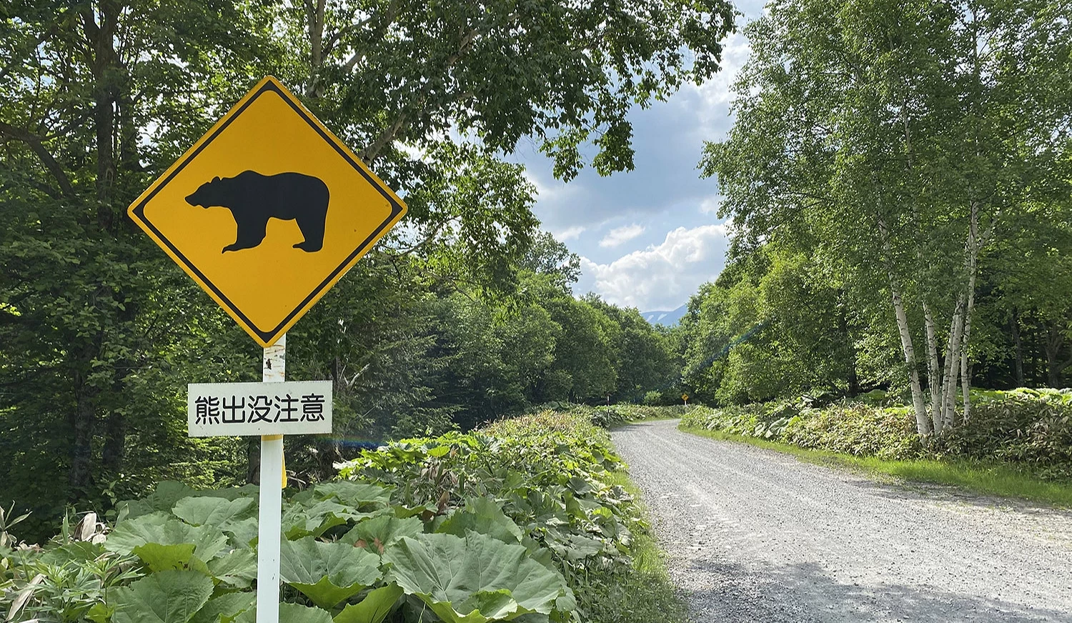 熊出没注意警示牌