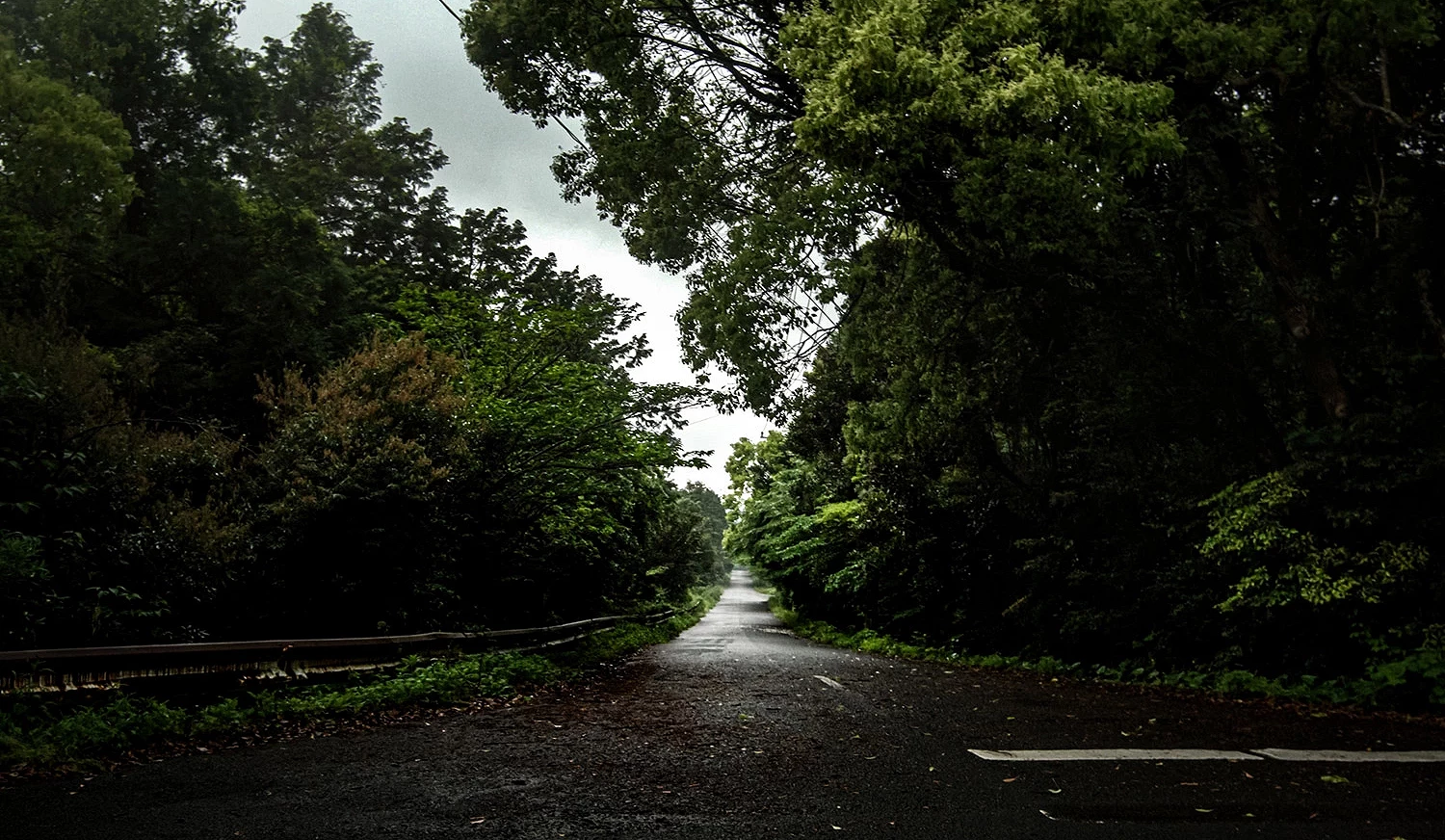 视线不良的山野林道