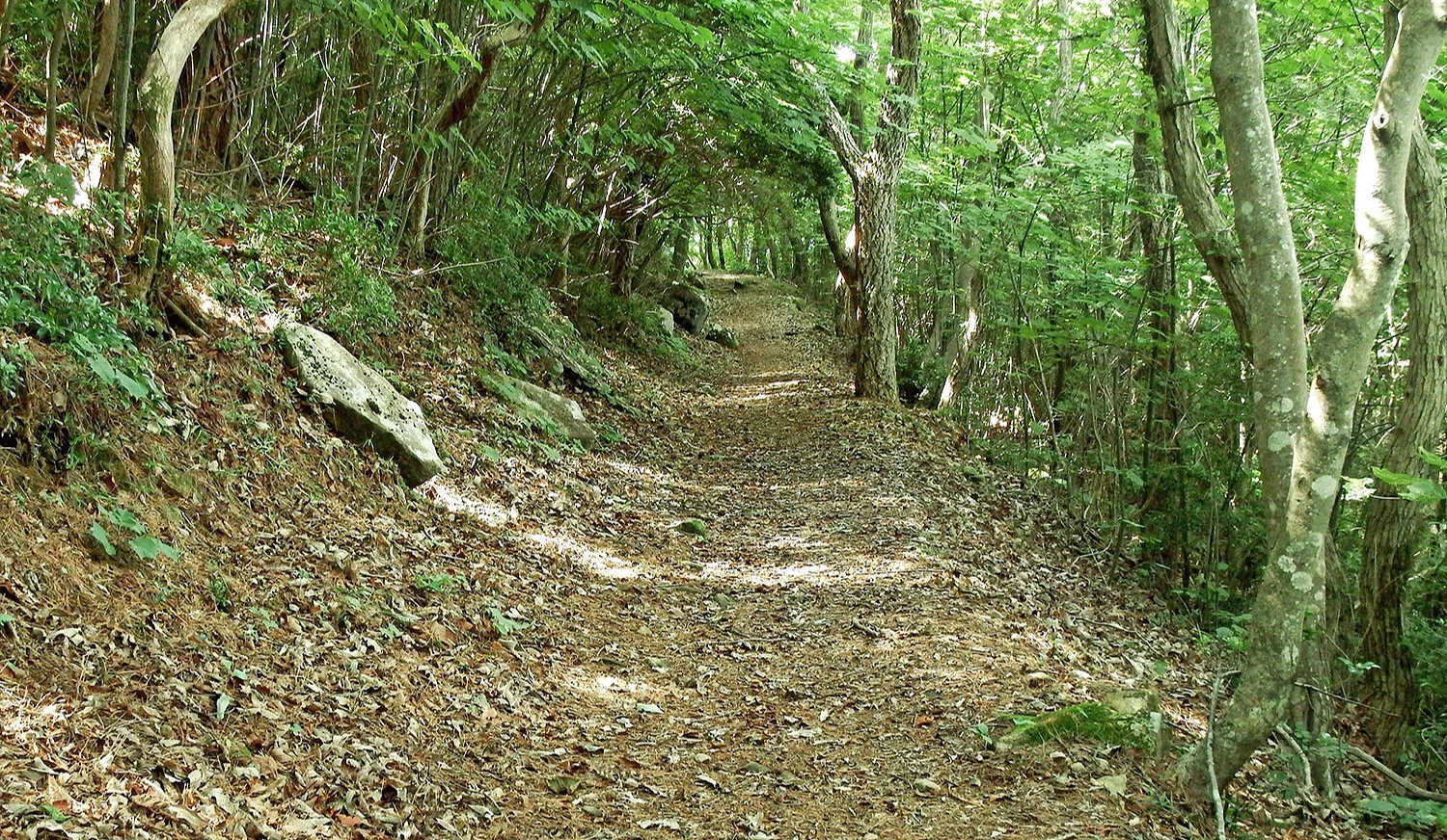 山区步道及林道