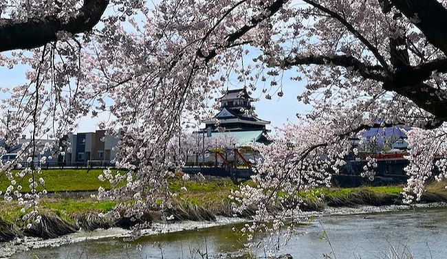 五条川沿岸樱花与清洲城
