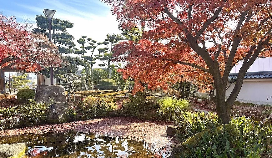 清洲古城迹公园枫叶