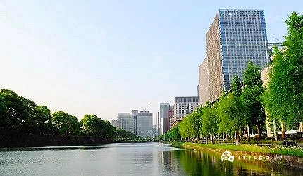 护城河沿岸整排行道树绵延,背景为现代玻璃高楼群
