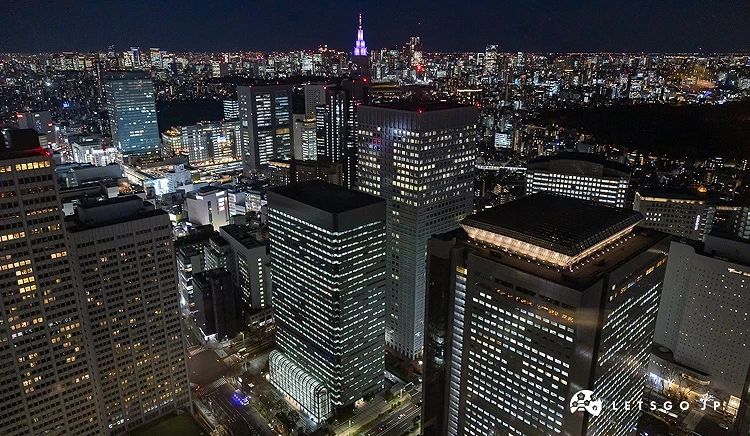 新宿都廳夜景