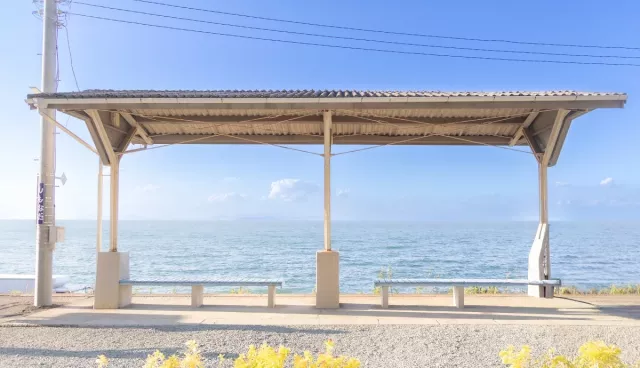 愛媛縣景點自由行攻略：松山城、道後溫泉必訪亮點