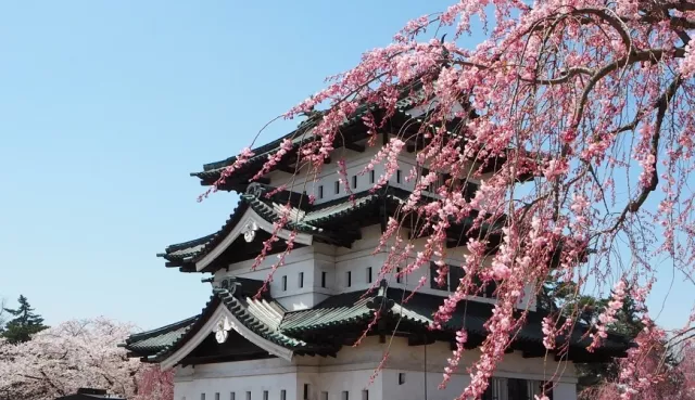 弘前城、弘前公园攻略：樱花花筏、枫叶、雪灯笼祭，交通与一日游动线 的缩图