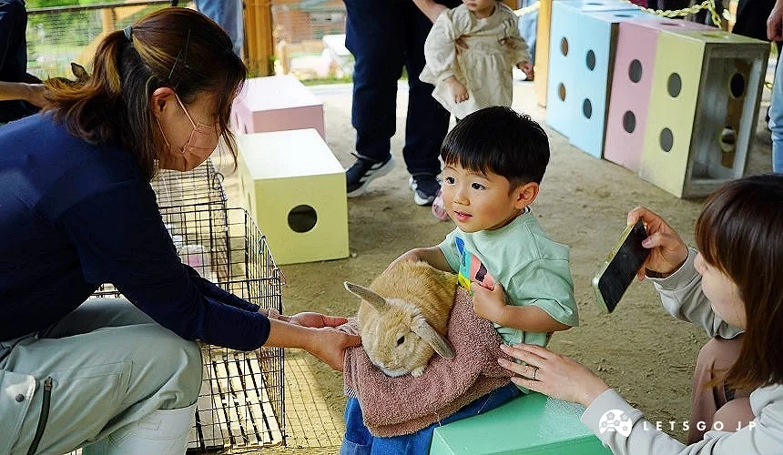 许多活动都很适合小小孩体验!