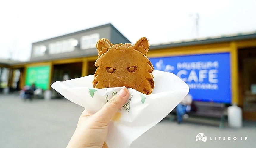 野狼烧