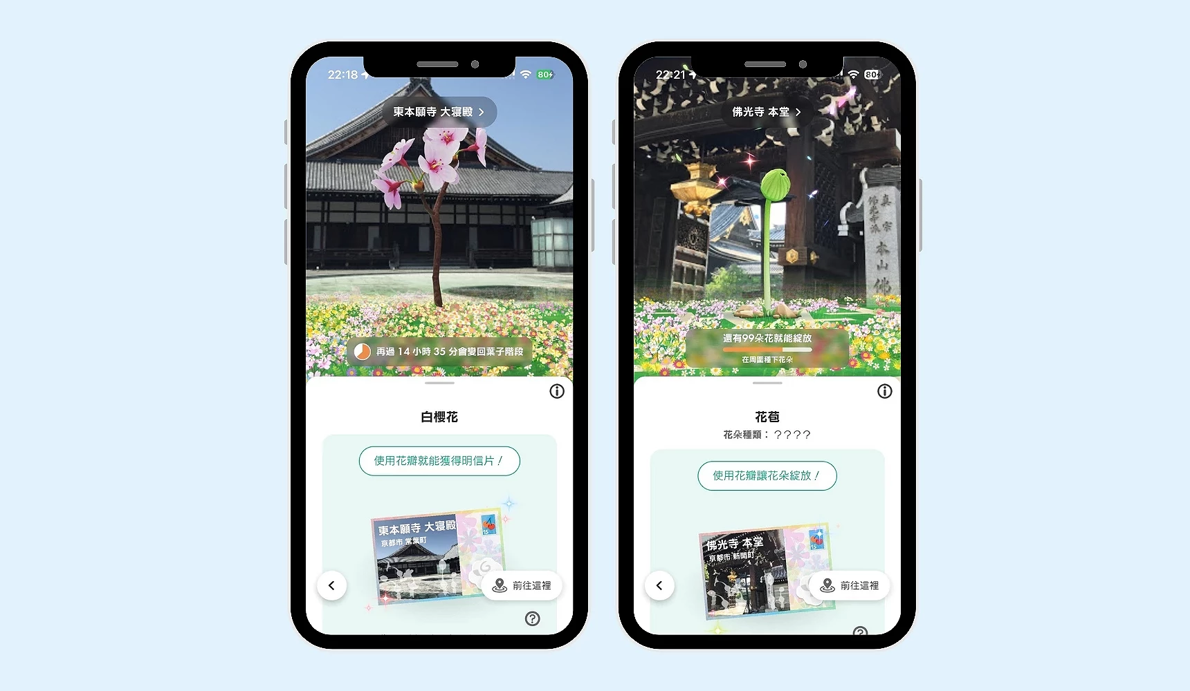 两支手机画面显示《Pikmin Bloom》巨大花朵介面,一侧为已开花的樱花,另一侧为花苞状态,并显示使用花瓣可获得该地点明信片的画面