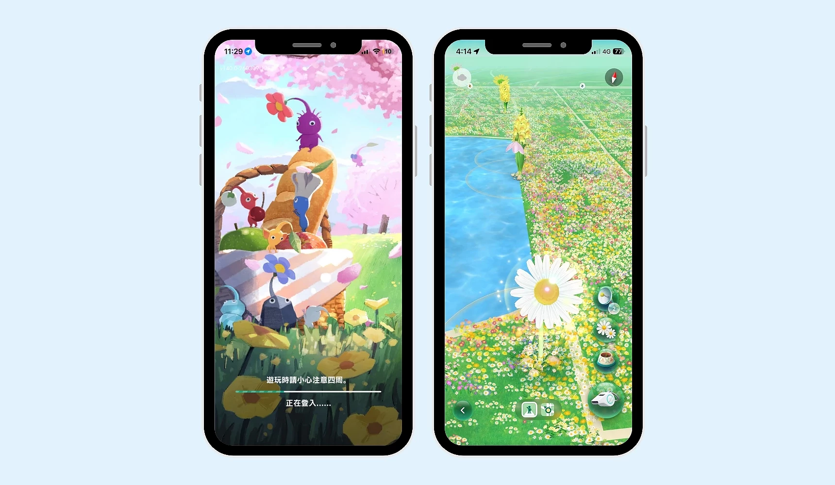 手机画面显示《Pikmin Bloom》游戏,一侧为樱花主题登入画面与皮克敏角色,另一侧为地图上种满花朵并出现巨大白色花朵的游戏介面