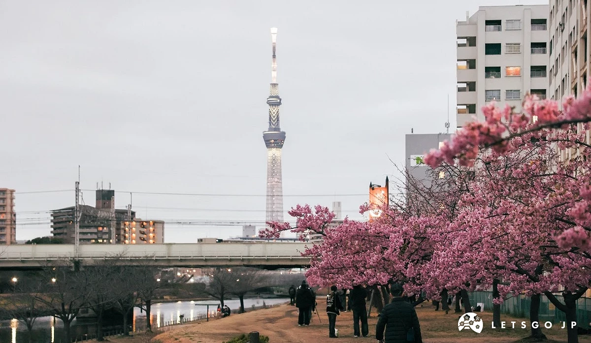 河景与樱花交织,还有许多人群