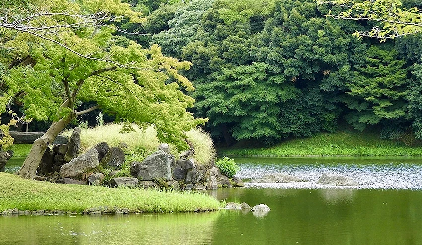 池塘中的蓬莱岛