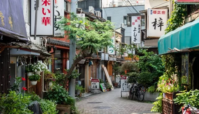东京深度旅游攻略：私房景点与在地散步街区、美食指南与一日游路线