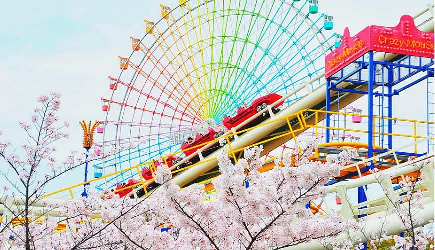 紅色的雲霄飛車與櫻花和摩天輪互相輝映提供:枚方公園