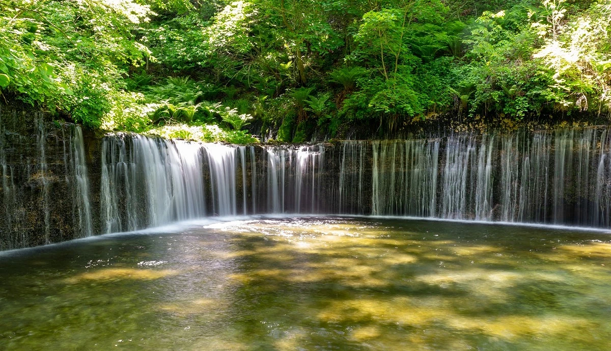 輕井澤白絲瀑布弧形水潭景觀,整排細緻水流自岩壁垂落,水面呈現綠色倒影,四周被濃密森林包圍