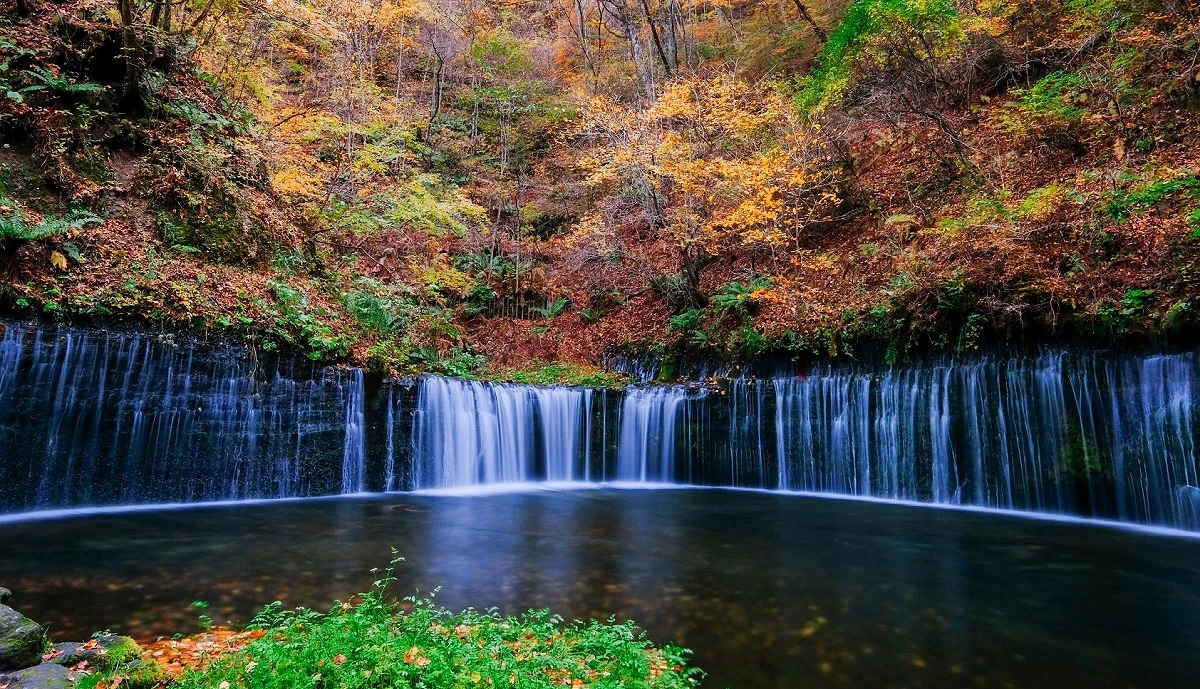 輕井澤白絲瀑布秋季景觀,瀑布前方為弧形水潭,後方山坡覆滿黃、橘、紅色紅葉,水流自岩壁整排垂落