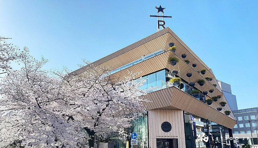 樱花盛开的目黑川旁,隈研吾设计的中目黑星巴克臻选东京烘焙工坊外观,建筑立面为木质结构与大片玻璃窗