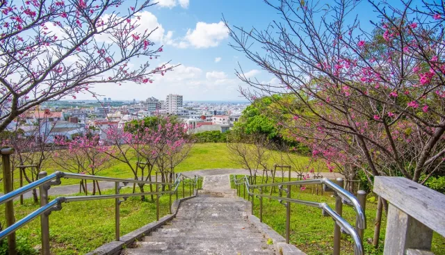浦添大公園攻略：交通、停車場、溜滑梯、浦添城跡一次看懂