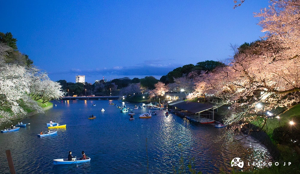 千鸟之渊夜樱景观,民众在护城河划船,两岸樱花有灯光投射。