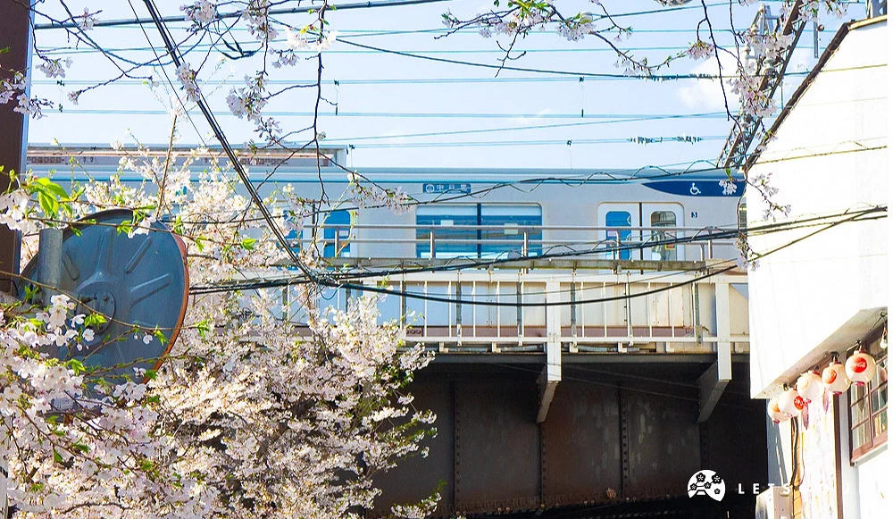中目黑電車通過鐵道橋,前方有盛開的櫻花與圓形道路反射鏡。