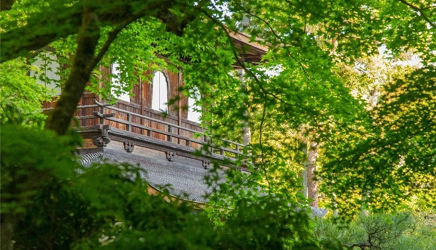 被綠樹環繞的銀閣寺