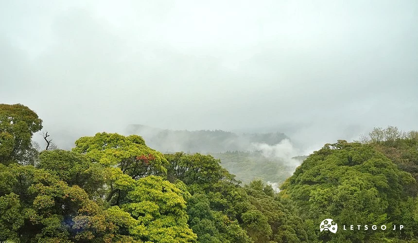 霧島特有的雲霧繚繞感