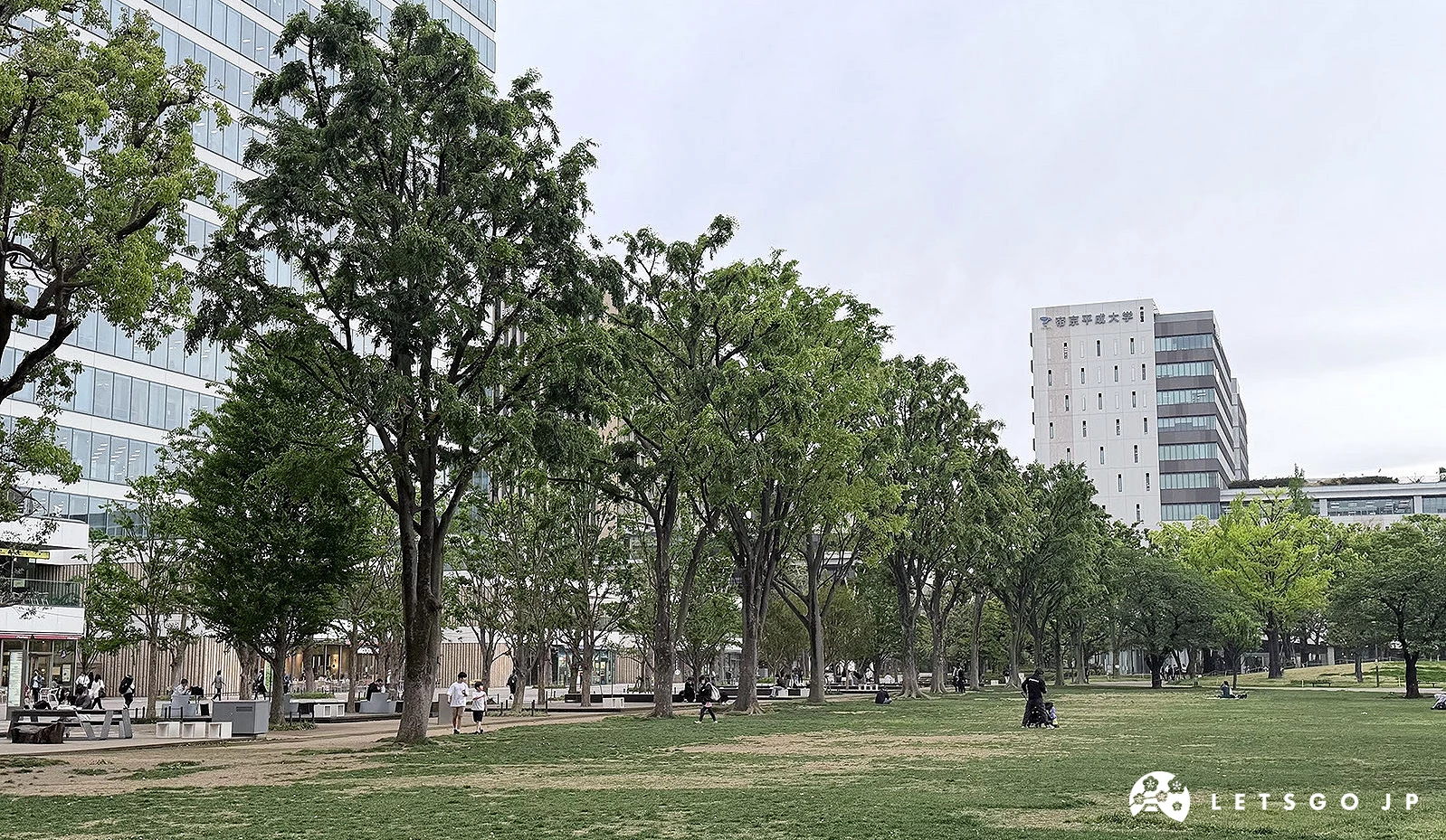 中野Central Park的大草地