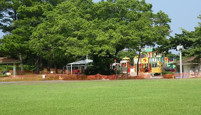 宽阔的草坪区