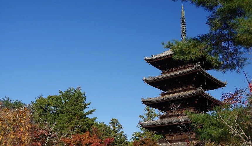 仁和寺五重塔与蓝天、秋叶相映成趣
