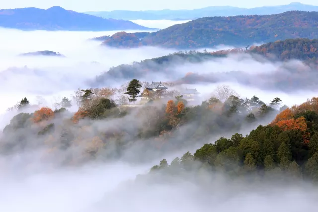 備中松山城攻略：門票、交通、雲海展望台、貓城主三十郎完整看 的縮圖