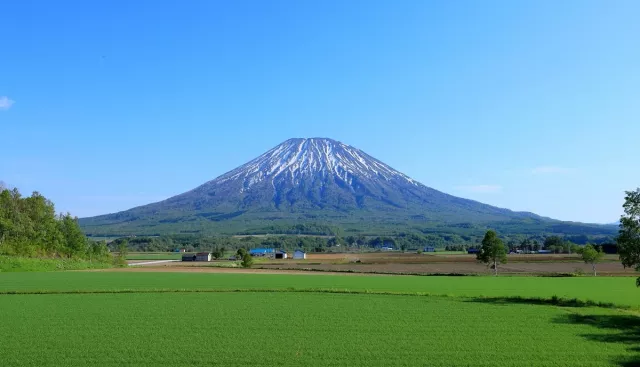 羊蹄山攻略！蝦夷富士景點、湧水、美食、自駕一日遊推薦