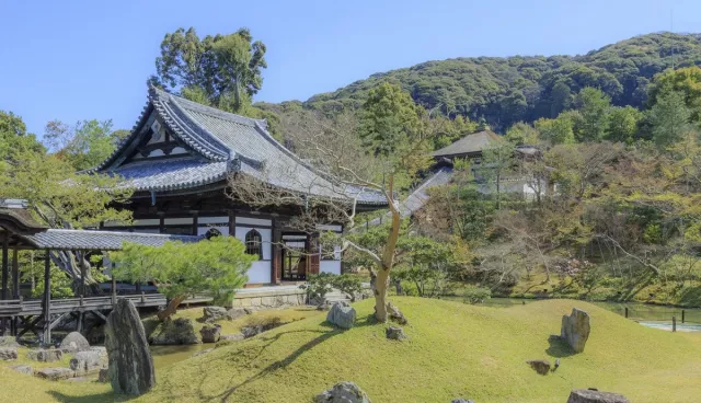 高台寺攻略：交通、夜楓參拜、寧寧之道與圓德院共通券【2026最新】 的縮圖