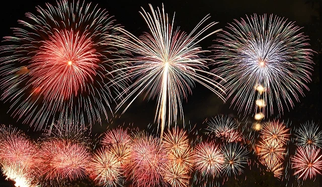 隅田川花火點亮夏夜天空