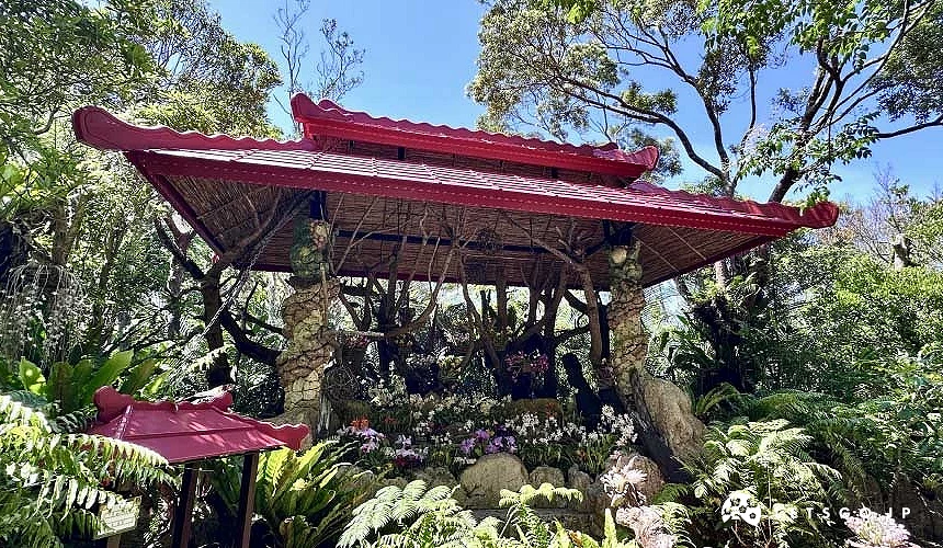 園內的沖繩風造景與花卉植物攝影:Angie
