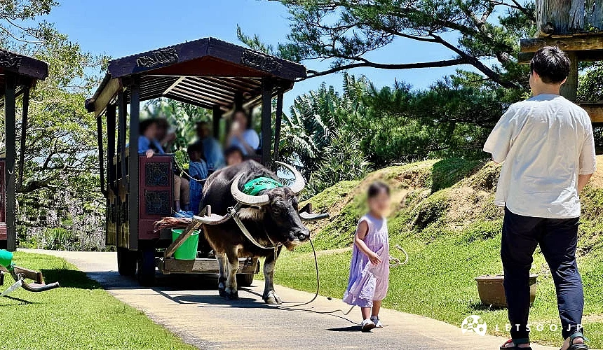 小女孩拉著水牛車的引繩攝影：Angie
