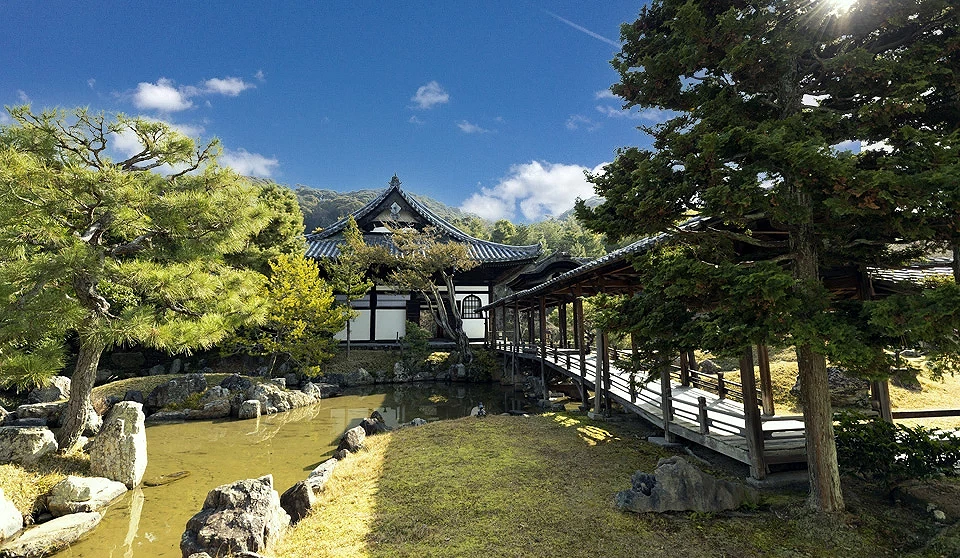 鹫峰山高台寺内绿色的庭园