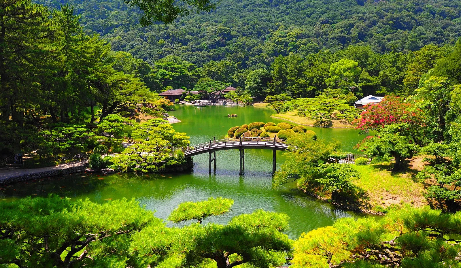 从飞来峰眺望园内及偃月桥
