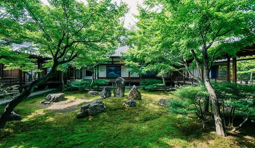 被木造建筑环绕的庭园,中央有青苔与数块直立的石头,周围种植着绿树