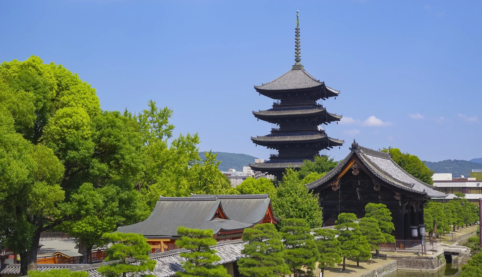 東寺的五重塔夏季景色