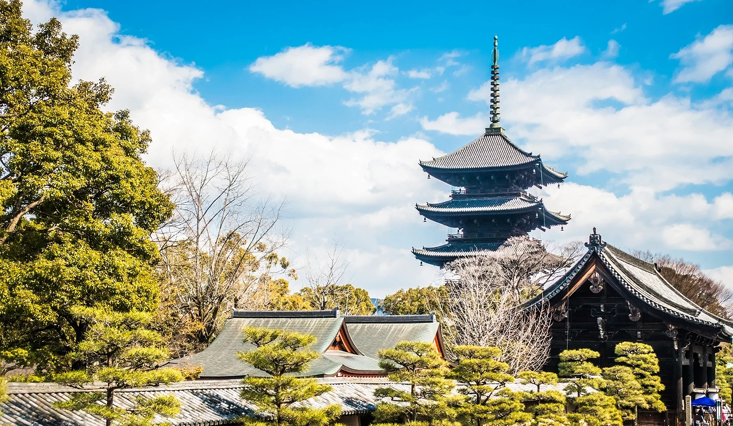 京都東寺的晴朗景色