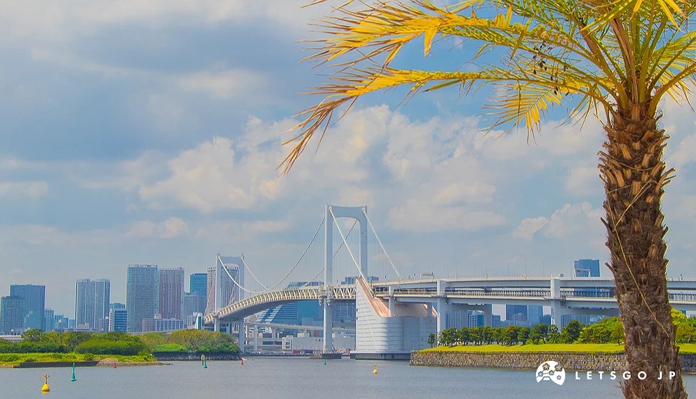 棕櫚樹與彩虹大橋 右側為棕櫚樹樹幹與樹葉,遠方為東京彩虹大橋與城市高樓。