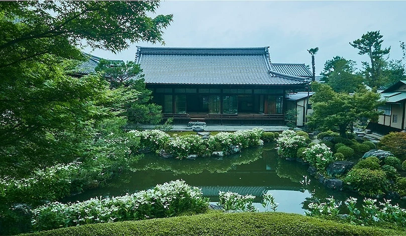 绿意盎然的日式庭园池水与茂密的树木