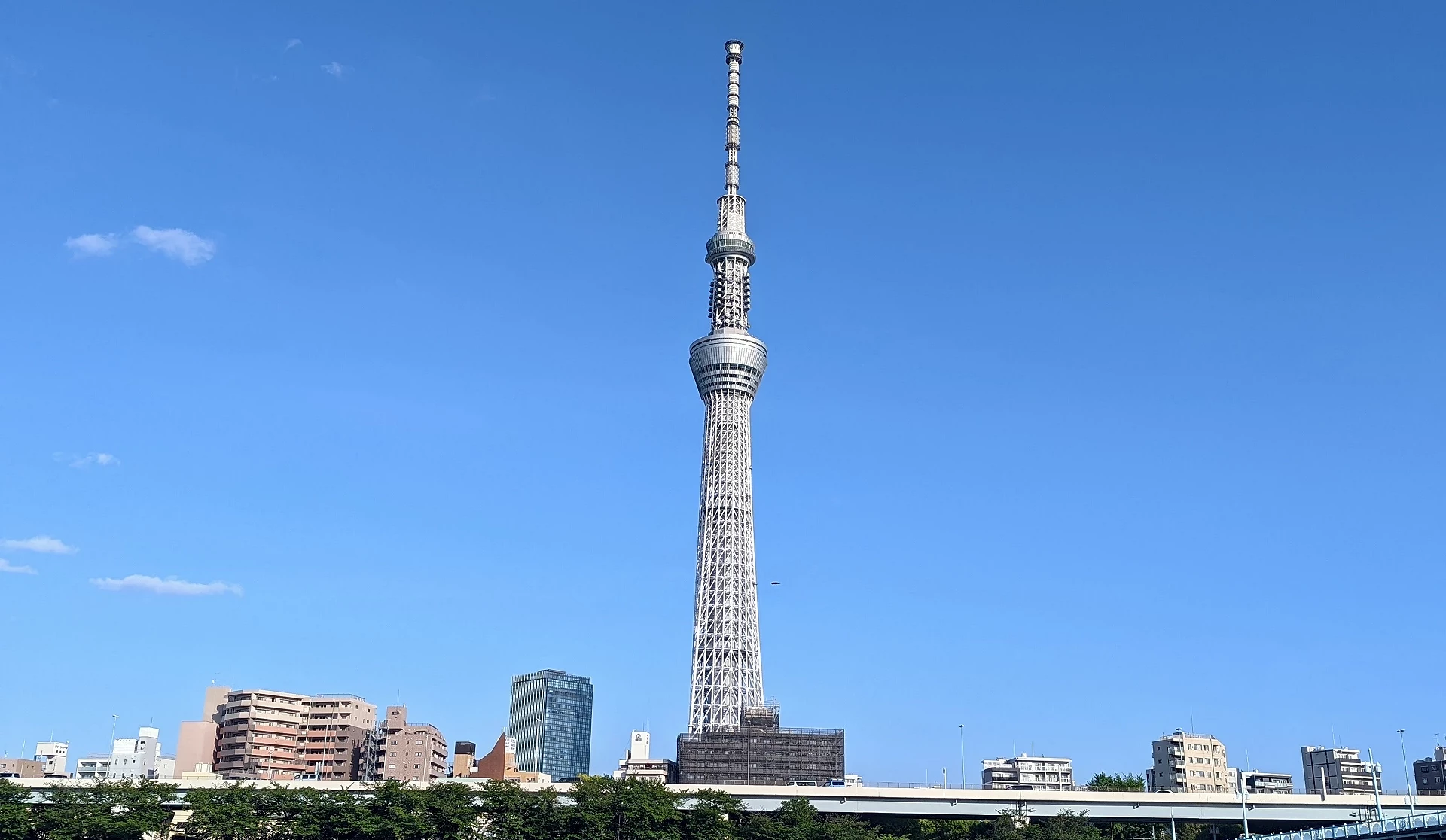 東京晴空塔與隅田川景色