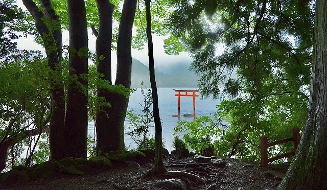 箱根九头龙神社旁的森林步道景色,透过茂密树林可眺望芦之湖与湖中红色鸟居,展现箱根夏季清幽静谧的湖畔风光