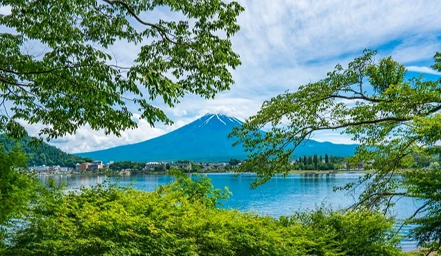 河口湖畔眺望夏季富士山景色,湖面倒映蓝天与山影,周围绿树环绕,呈现山梨县河口湖清爽宜人的夏日湖畔风光