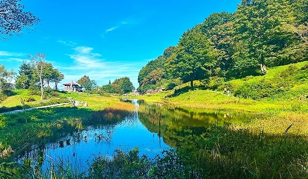 新泻县汤泽高原滑雪场夏季景色,蓝天下山林绿意盎然,池塘倒映树木与天空,呈现越后汤泽清爽宜人的高原风光。