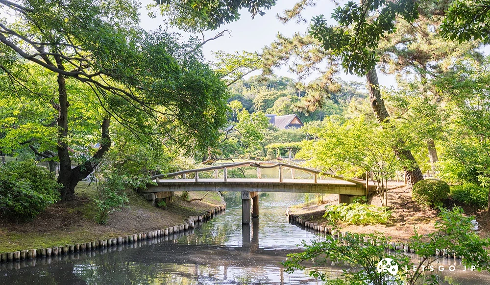 在湖中的一座小橋,連接著兩端的陸地和相互交叉著的樹木